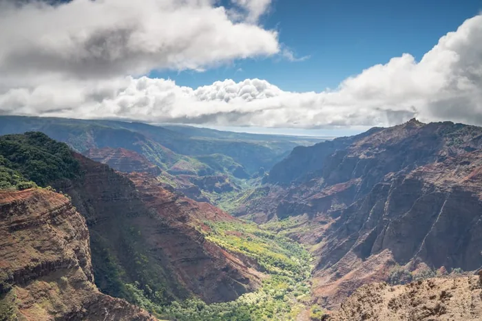 Kauai: Waimea Canyon and Kokeʻe State Park Tour
